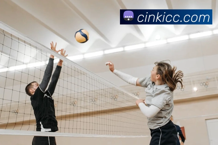 App Interface Preview