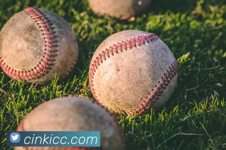 爱游戏体育APP 封面图